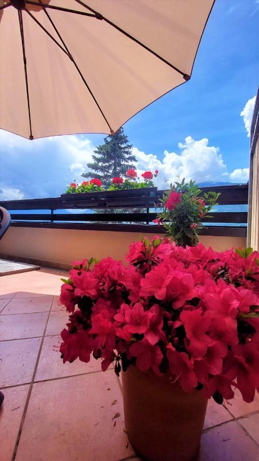 Nora S Home 4 - Panoramic Terrace & Bio Garden Meran Zewnętrze zdjęcie
